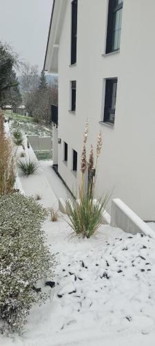 a white house with snow on the side of it at Apartment am Weinberg Kleinaspach in Aspach
