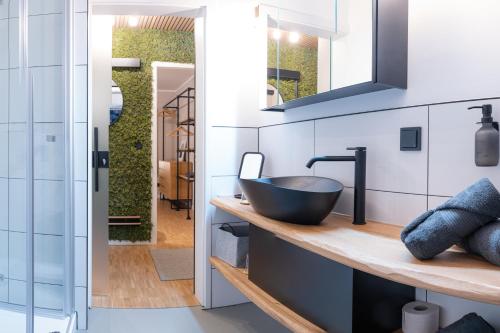 La salle de bains est pourvue d'un lavabo et d'un miroir. dans l'établissement Waldbewohner Apartments / Fuchs, à Ilsenburg