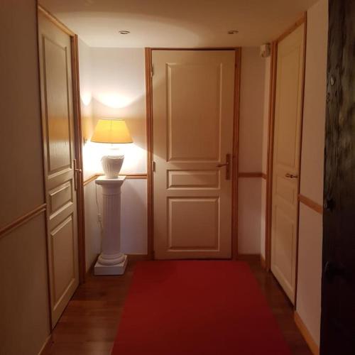 um corredor com um candeeiro e um tapete vermelho em Semi-duplex Ancien Hôtel Particulier em Bourg-en-Bresse