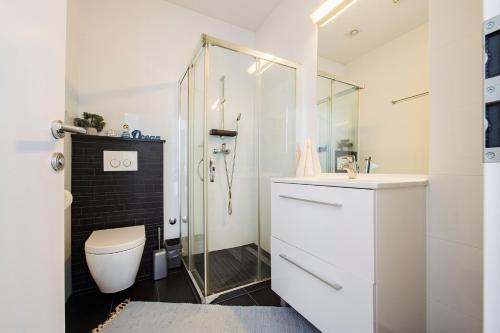 W łazience znajduje się toaleta i przeszklony prysznic. w obiekcie Apartment dream view w mieście Krilo