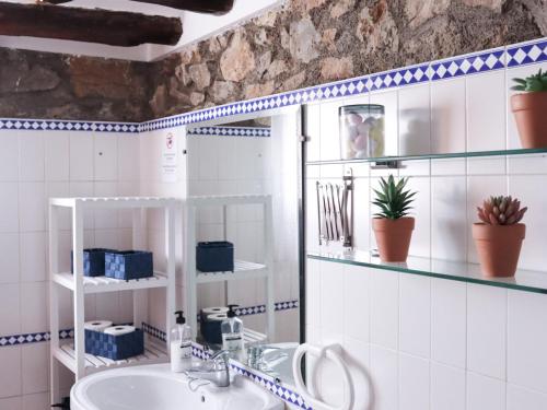 łazienka z umywalką i półkami z roślinami w obiekcie Mas del Carrascal w mieście Chodos
