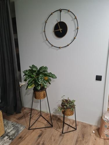 two plants on stands next to a wall with a clock at Old Town Apartment in Rīga