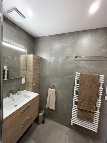 Koupelna v ubytování Agréable appartement de 65m2 vue exceptionnelle