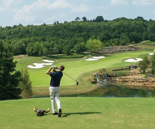 a man playing golf with a dog on a golf course at Luxury large 2 bedroom Apartment 10 min walk to Villamartin Plaza in Villamartin
