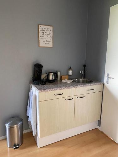 uma cozinha com um lavatório e uma bancada em Bed en Breakfast In het Fruit em Zuidoostbeemster