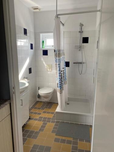 uma casa de banho com um chuveiro, um WC e um lavatório. em Bed en Breakfast In het Fruit em Zuidoostbeemster