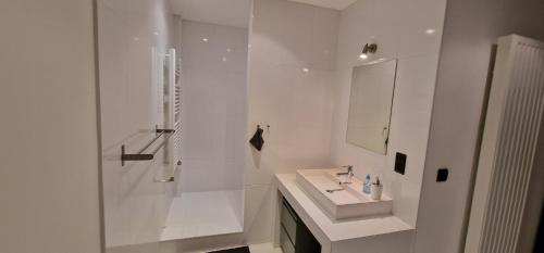 La salle de bains blanche est pourvue d'une douche et d'un lavabo. dans l'établissement Luise Hollywood, à Bruxelles