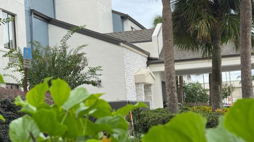 a house with palm trees in front of it at Destiny Palms Hotel Maingate West in Kissimmee