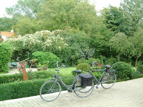 a bike parked on a brick walkway in a park at Hotel Martinique in Nieuwpoort