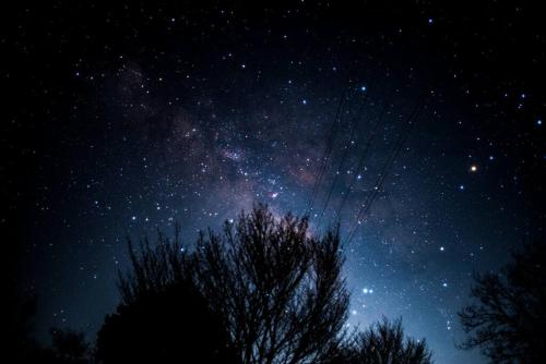 a starry night with a tree in the foreground at Azumino Salon in Azumino