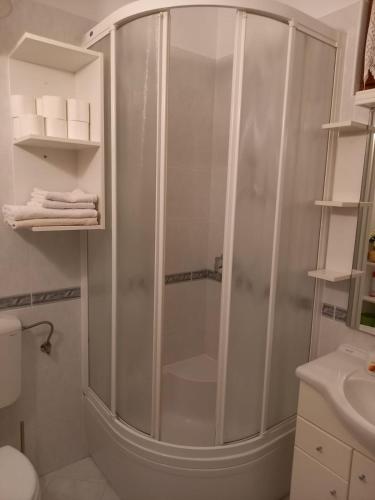 a shower with a glass door in a bathroom at Apartments Raos in Stobreč