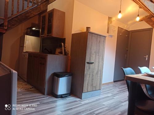 - une cuisine avec une poubelle dans l'établissement Appart Chalet hyper centre, à Cauterets