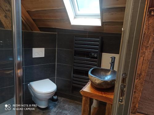 a bathroom with a toilet and a sink at Appart Chalet hyper centre in Cauterets