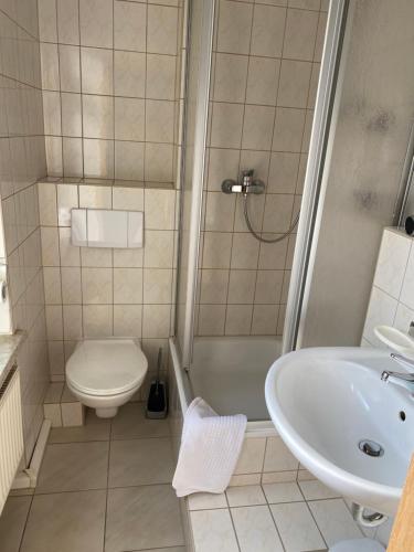 een badkamer met een douche, een toilet en een wastafel bij Hotel Hardys-Eck in Auerbach