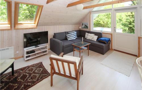 a living room with a couch and a tv at 2 Bedroom Pet Friendly Home In Samsø in Nordby