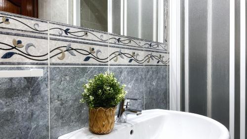 a bathroom with a sink with a potted plant on it at Blas de otero apartamento reformado con wifi in Bilbao