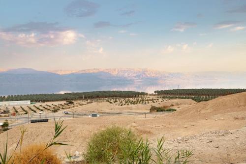 a view of a desert with mountains in the background at Charming unit in Dead Sea in Ovnat