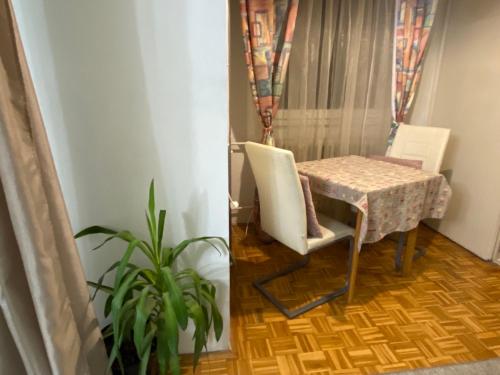 una mesa con sillas y una planta en una habitación en Dan i noc, en Banja Luka