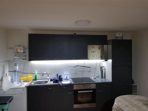 a kitchen with black cabinets and a sink at Vila Marina in Kovin