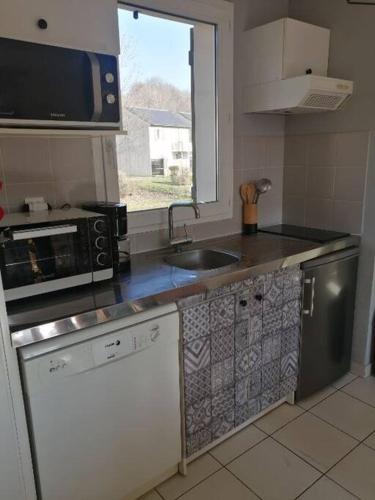une cuisine avec un évier et un micro-ondes dans l'établissement Appartement calme et propre Le Goelia, à Saint-Geniez-dʼOlt
