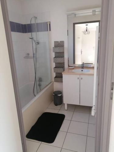 une salle de bain avec une douche, un lavabo et un miroir dans l'établissement Appartement calme et propre Le Goelia, à Saint-Geniez-dʼOlt