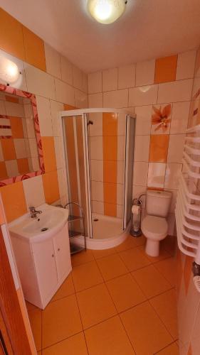 a bathroom with a toilet and a shower and a sink at Willa u Skrajnioka in Czerwienne