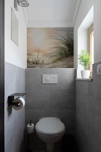 a bathroom with a toilet with a picture on the wall at Casa di Luna in Middelkerke