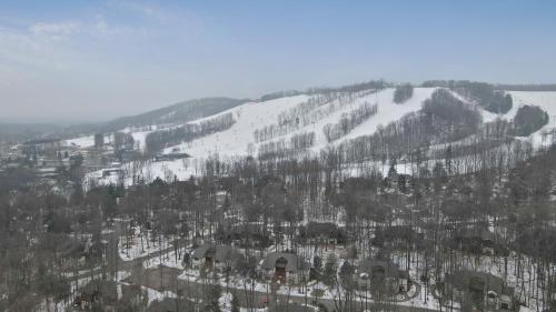 an aerial view of a snow covered mountain at 370 Disciples Village Condo in Boyne Falls