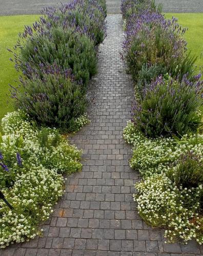 a brick walkway with flowers in a garden at Lieflappie❤ in Stilbaai