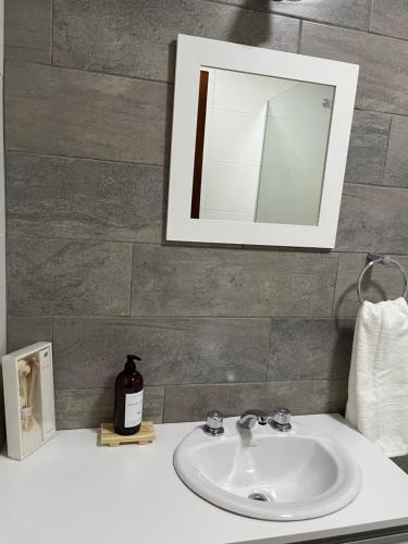 un lavabo con espejo y una botella de jabón. en Departamento Hilario en San Rafael