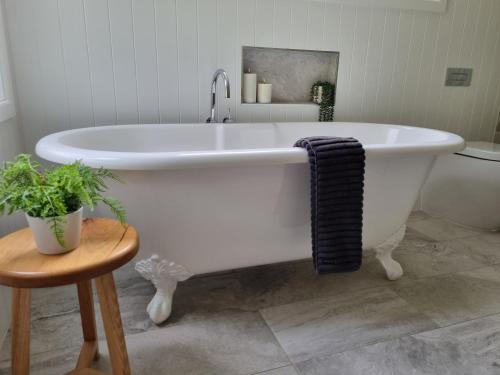 a white bath tub in a bathroom with a plant at Amaroo Escape in Coneac
