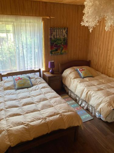 1 dormitorio con 2 camas y ventana en Cabaña En Lago colbun, sector Pasó Nevado, en Talca