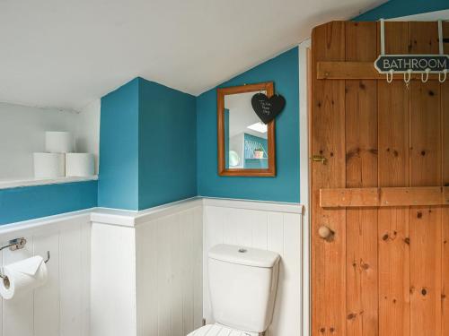 a bathroom with a toilet and a mirror at Bodeinion in Llanfair Caereinion