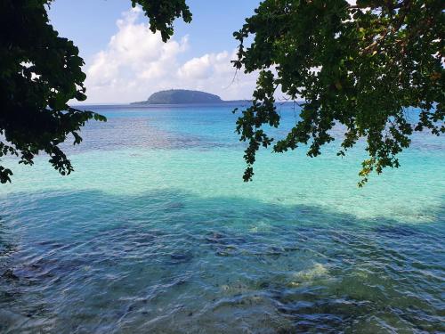 vistas a una gran masa de agua en Lonnoc Beach Lodge, en Hog Harbour