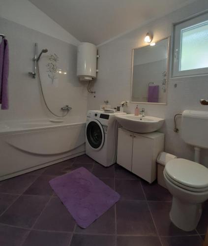 a bathroom with a toilet sink and a washing machine at Kuća za odmor Leptirić in Pisak