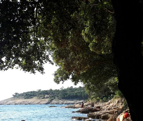 Villa Hermadado – Photos 4