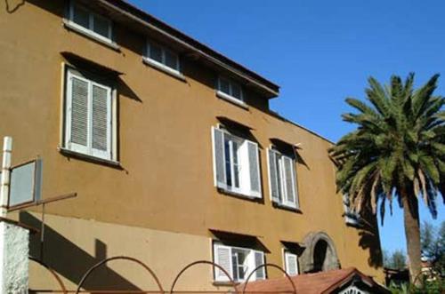 a building with windows and palm trees in front of it at Villa Orchidea in Sorrento