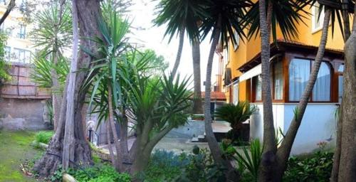 un groupe de palmiers devant un bâtiment dans l'établissement Villa Orchidea, à Sorrente