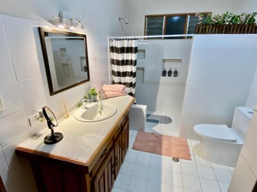 y baño con lavabo, aseo y espejo. en daBene Francavilla B&B, en Alajuela