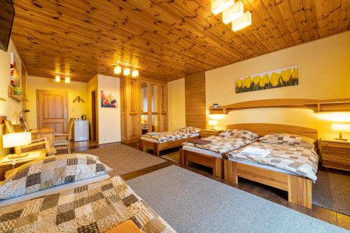 Zimmer mit 3 Betten in einem Zimmer in der Unterkunft Penzion Tri klasy in Nová Lesná