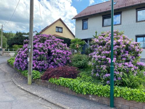 a garden of purple flowers in front of a house at Apartment in Waltershausen in Waltershausen