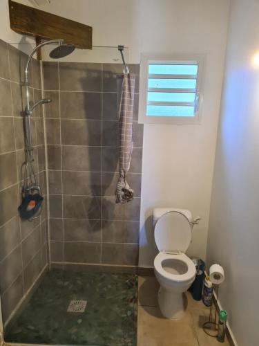 een badkamer met een toilet en een douche bij Bung-hello Village,Petit Bungalow confortable avec jacuzzi in Trois-Rivières