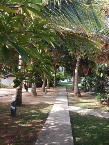 a pathway lined with palm trees in a park at Villa Nilaveli Cabana in Nilaveli