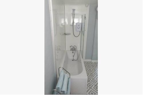 e bagno con doccia e vasca con doccia. di The Annexe a Radstock
