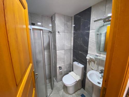 Baño pequeño con aseo y lavamanos en New Cherry Hotel, en Estambul