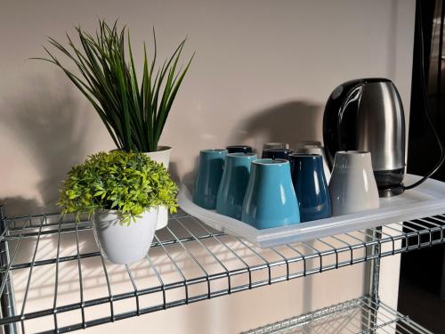 un estante con jarrones azules y plantas. en Room1#IG theme Bargainous#Shared Bathroom#3pax#2min Kek Lok Si, en Ayer Itam