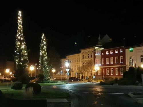 a city street at night with christmas trees and buildings at Ferienwohnung Leuchtturm 29a in Guben