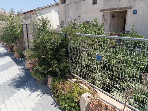 uma cerca com plantas ao lado de um edifício em צימר נוף העמק em Nof Kinneret