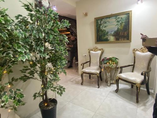 a room with two chairs and a potted tree at Terrace Tbilisi Center in Tbilisi City