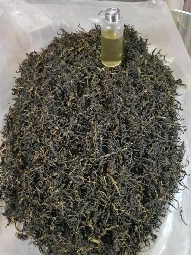 a bottle of oil sitting on top of a pile of coal at Munnar Tea Estate Bungalow in Munnar